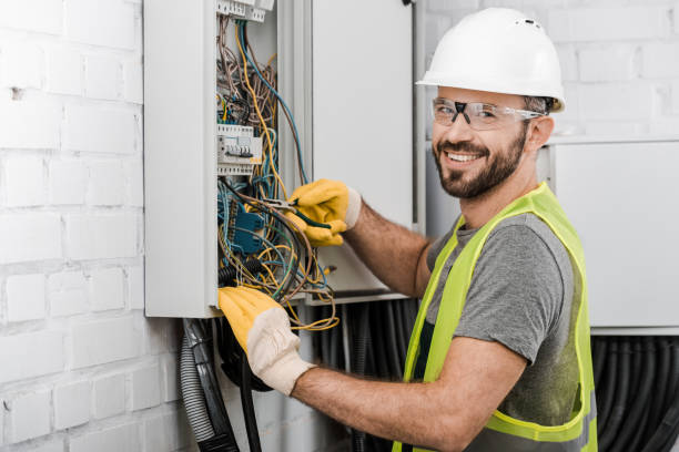 Best Circuit Breaker Repair  in Vla Grove, IL