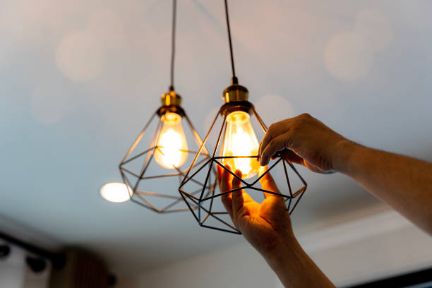 Best Electric Panel Repair  in Vla Grove, IL
