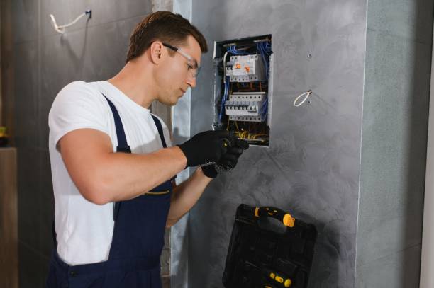 Best Affordable Electrician  in Vla Grove, IL