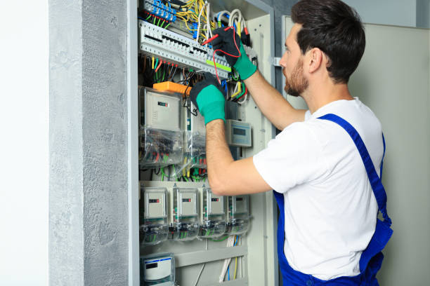 Best Local Electrician Companies  in Vla Grove, IL