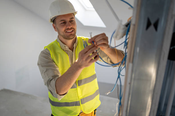 Best Electrical Upgrades for Homes  in Vla Grove, IL